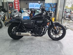 二手赛科龙RA250