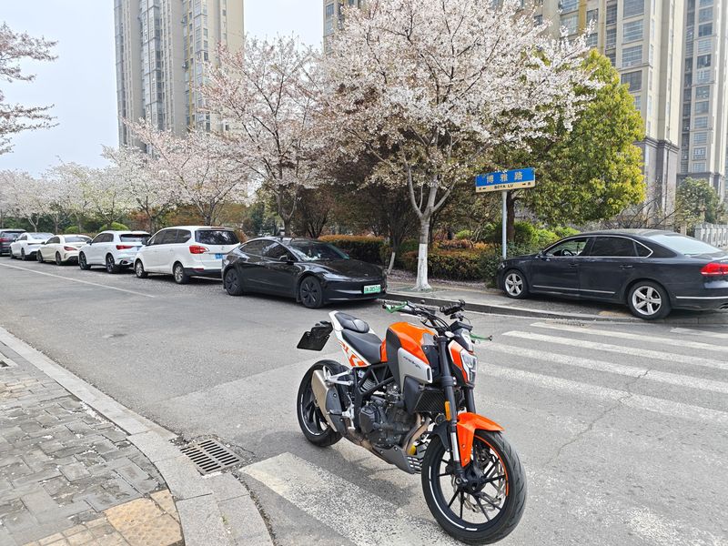 二手凯越Cobra 321R