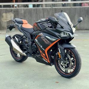 二手无极300RR