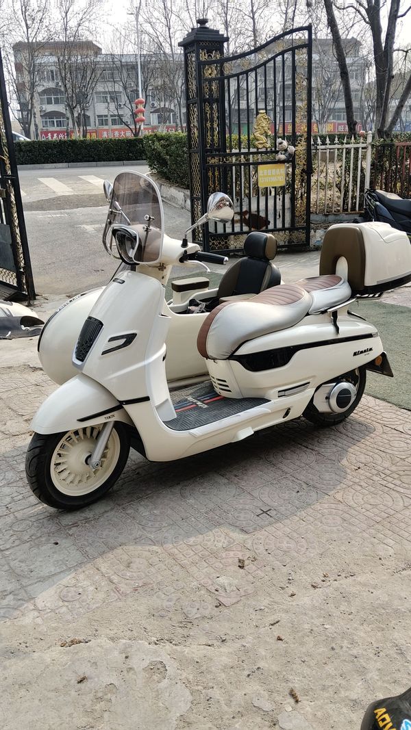 二手南方梦拉丽莎 飞戈边三轮