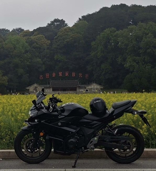 二手豪爵铃木GSX250R