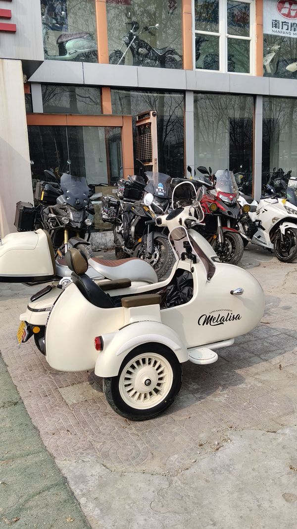 二手南方梦拉丽莎 飞戈边三轮