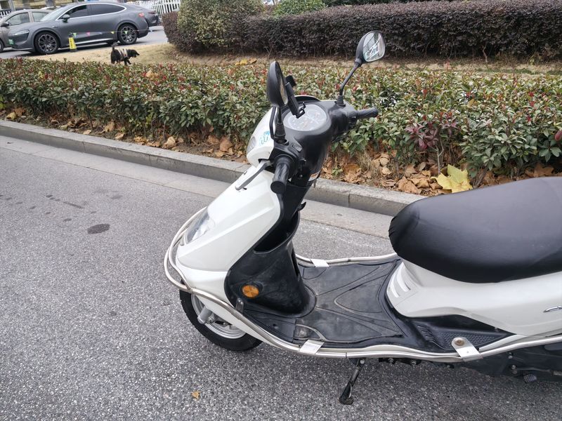 二手建设雅马哈悦鹰100 ZY100T-8