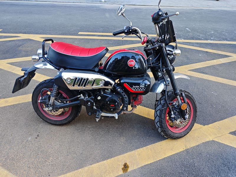 二手斯托纳猿猴