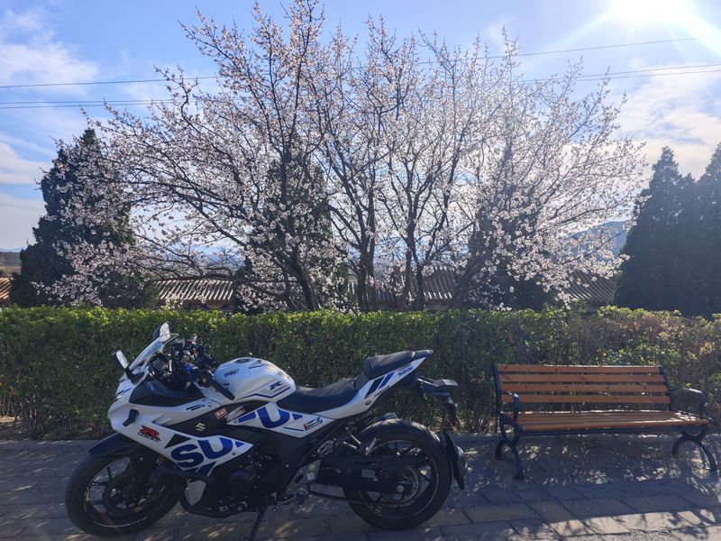 二手豪爵铃木GSX250R