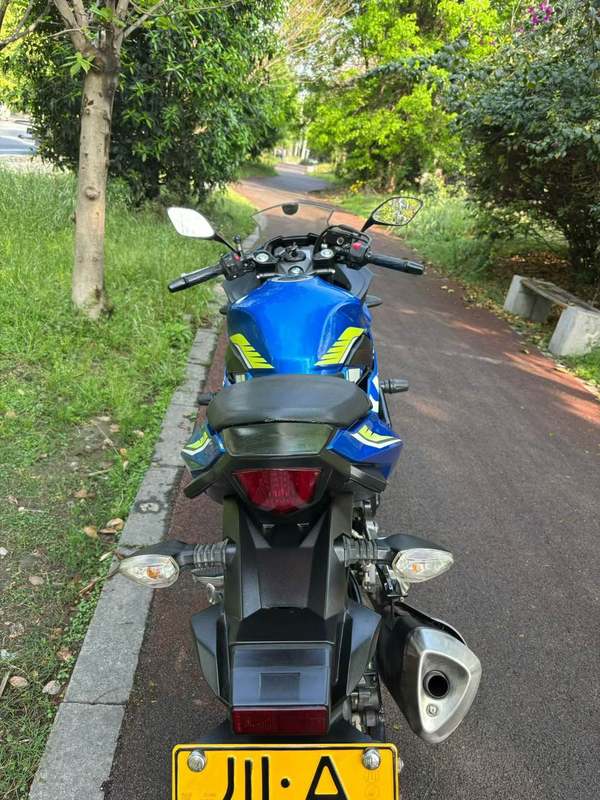 二手豪爵铃木GSX250R