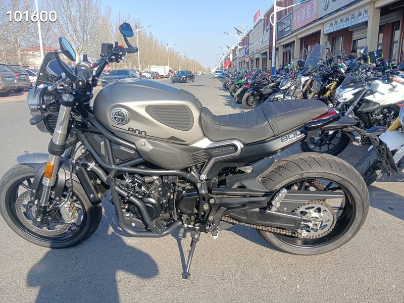 二手贝纳利幼狮 Leoncino 800