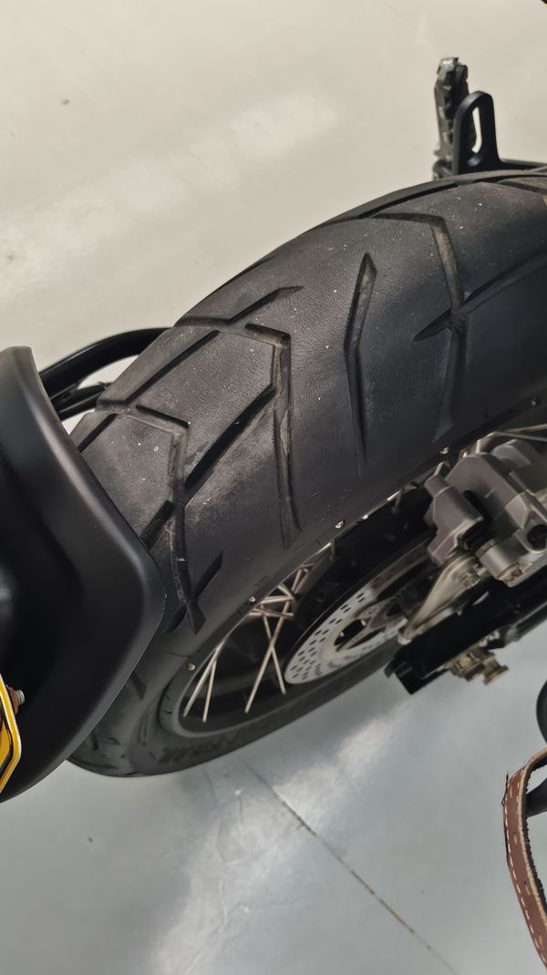 二手贝纳利幼狮 Leoncino 500