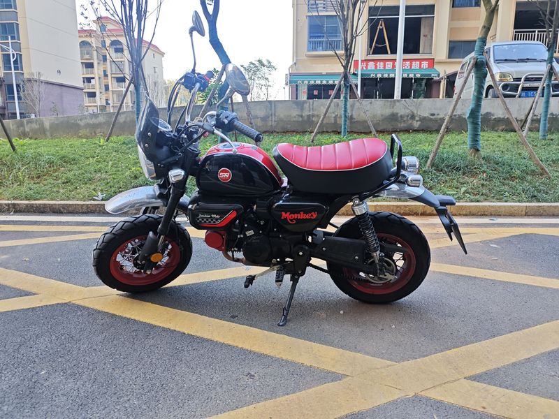 二手斯托纳猿猴