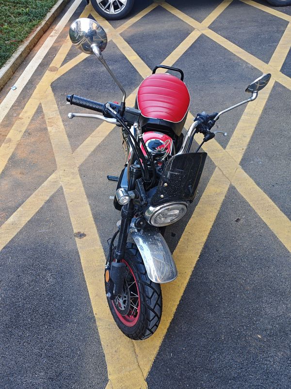 二手斯托纳猿猴