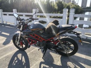 二手贝纳利红宝龙 TNT150i