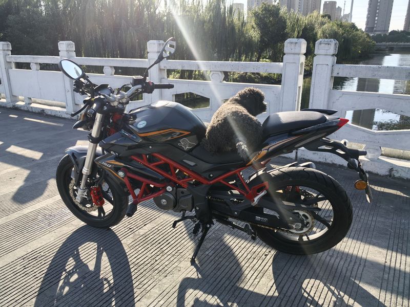 二手贝纳利红宝龙 TNT150i