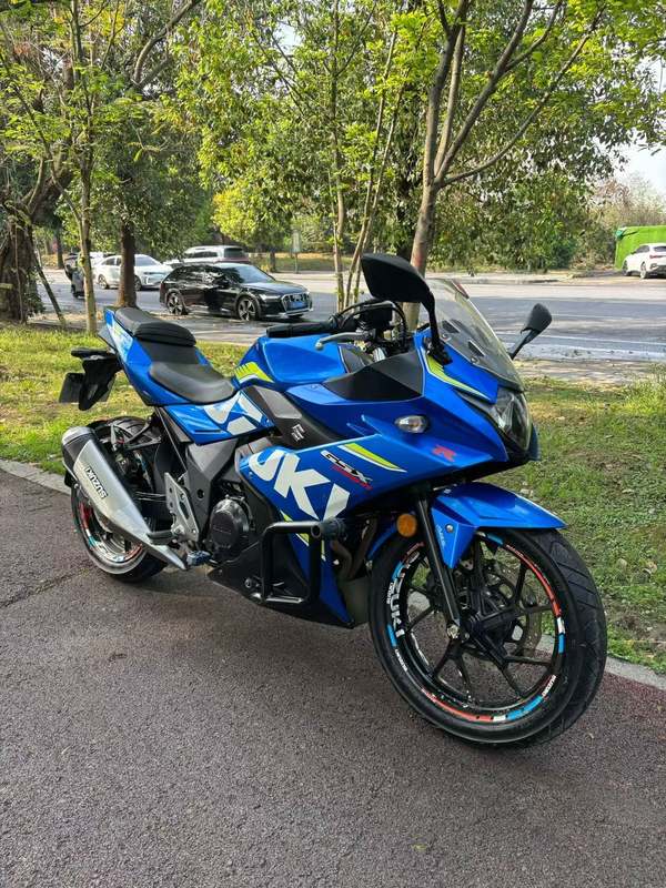 二手豪爵铃木GSX250R