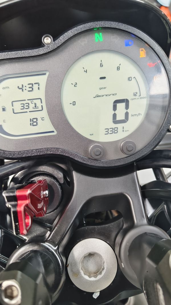 二手贝纳利幼狮 Leoncino 500