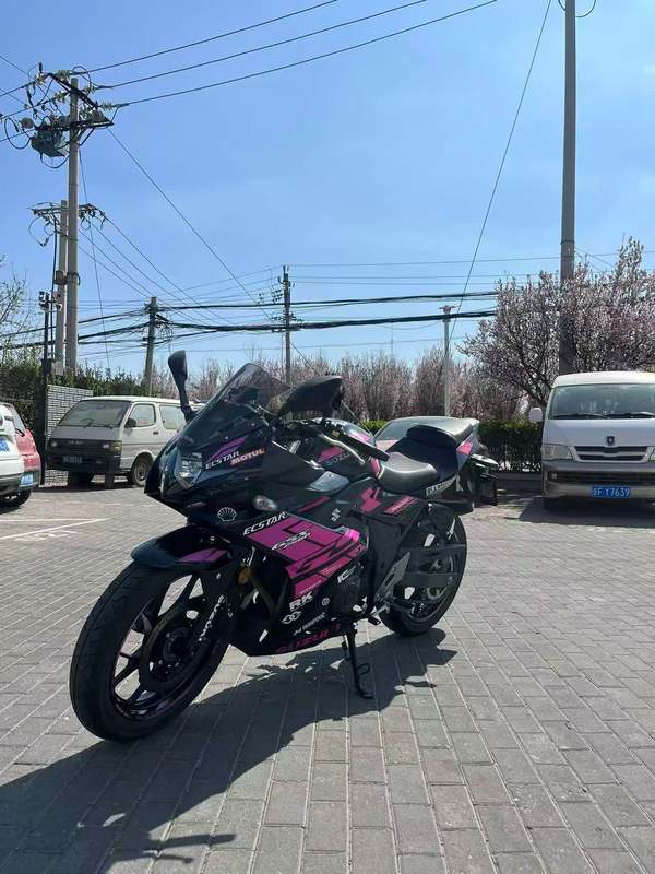 二手豪爵铃木GSX250R