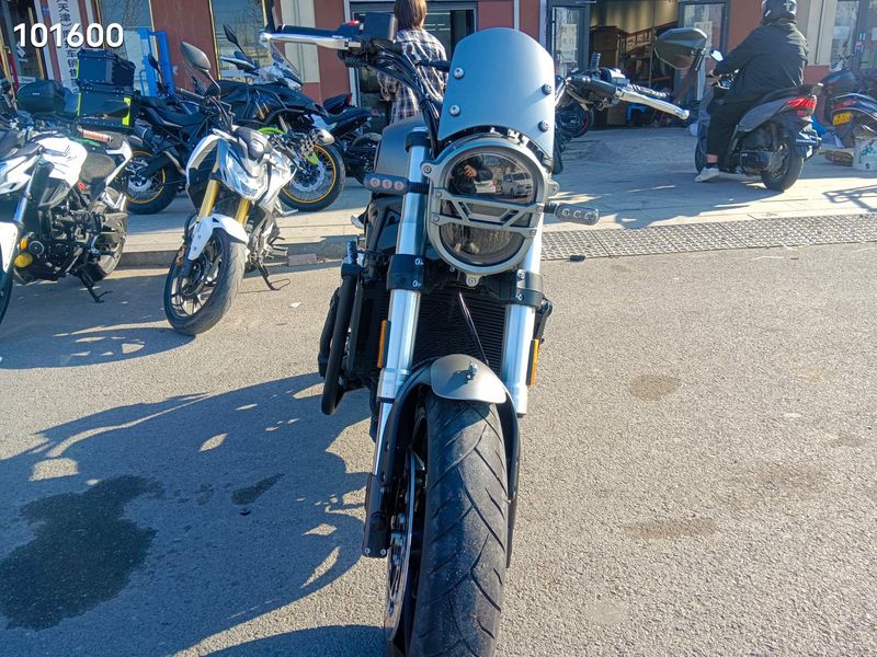 二手贝纳利幼狮 Leoncino 800