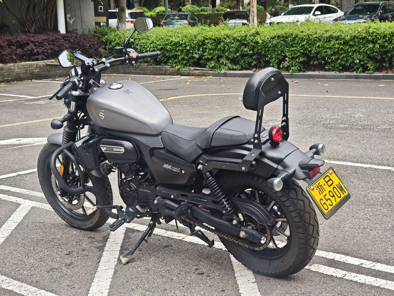 二手赛科龙RA250