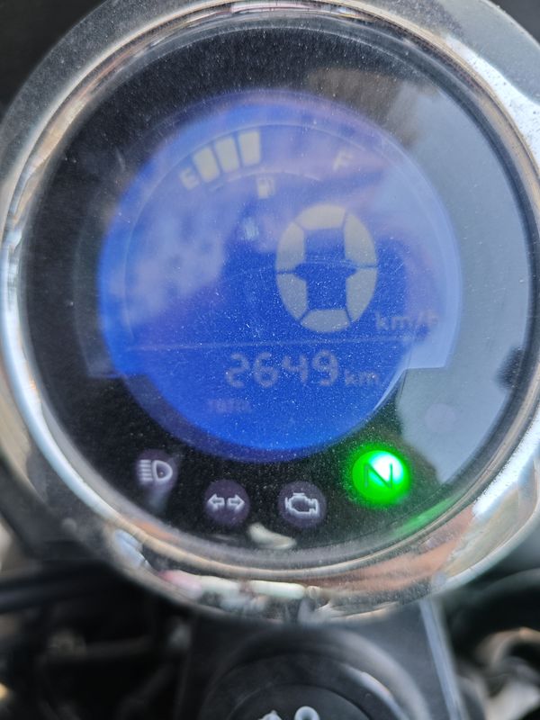 二手斯托纳猿猴