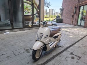 二手南方梦拉丽莎 飞戈