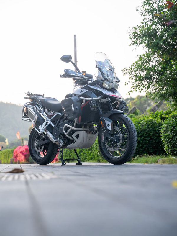 二手凯旋Tiger 900