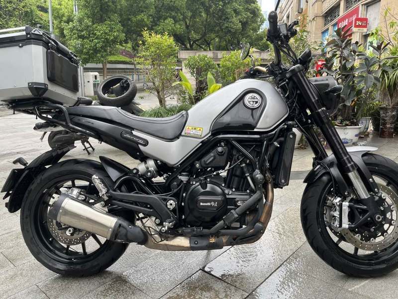 二手贝纳利幼狮 Leoncino 500