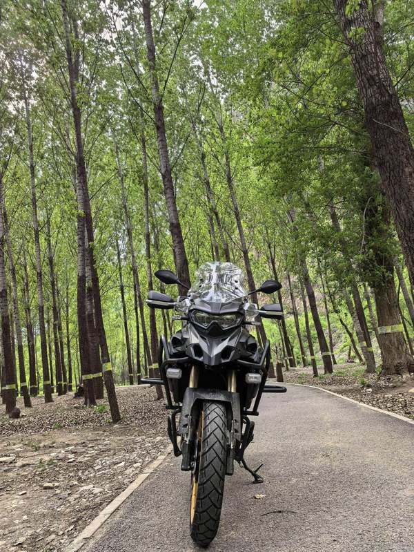 二手贝纳利TRK552