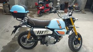 二手斯托纳猿猴