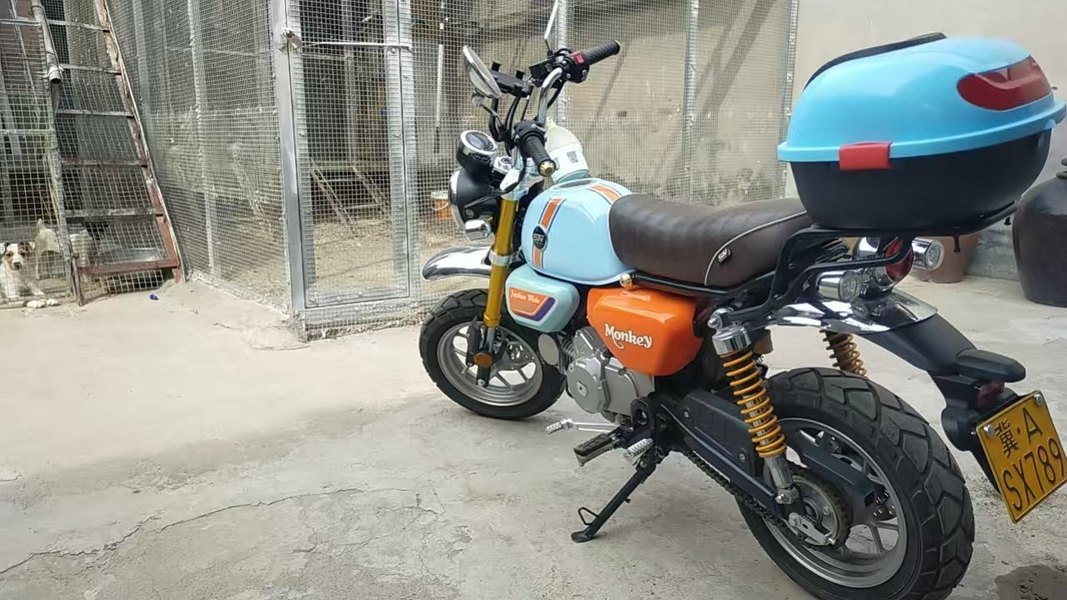 二手斯托纳猿猴