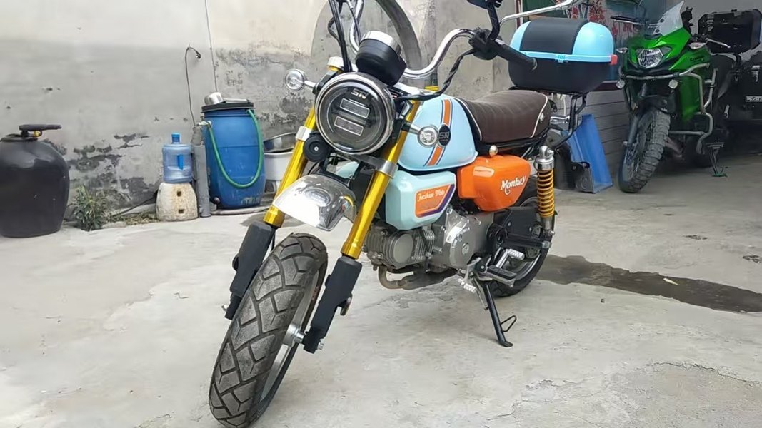 二手斯托纳猿猴