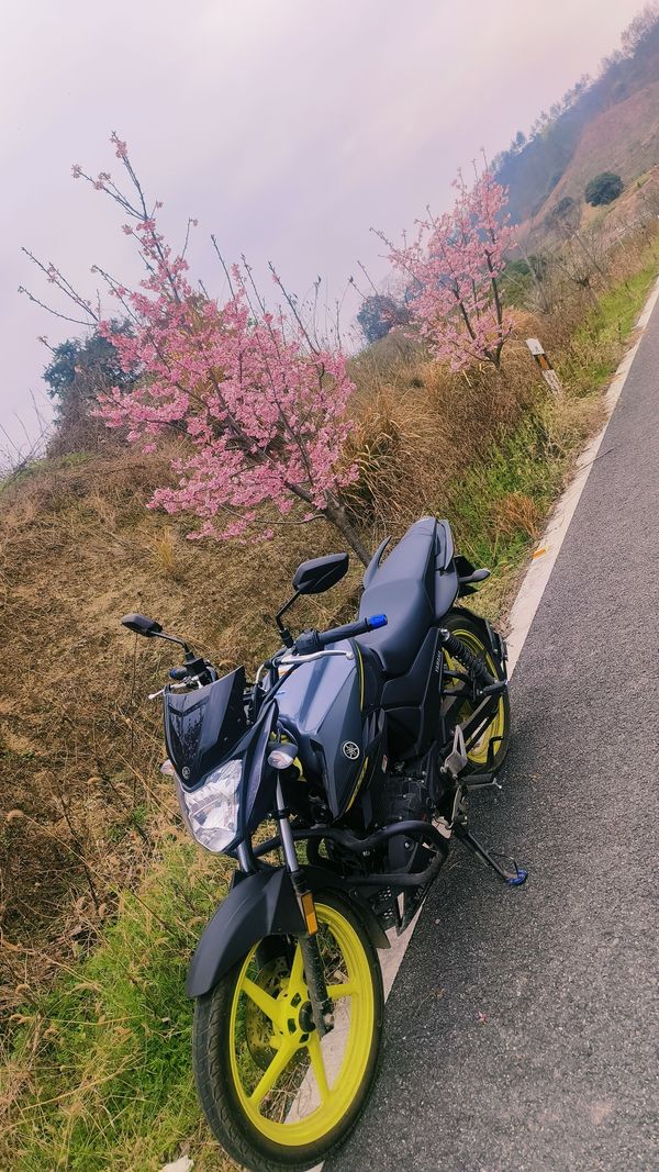 二手建设雅马哈飞致YS150