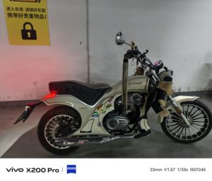 二手宗申优米Yomi