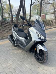 二手三阳Joymax Z 300