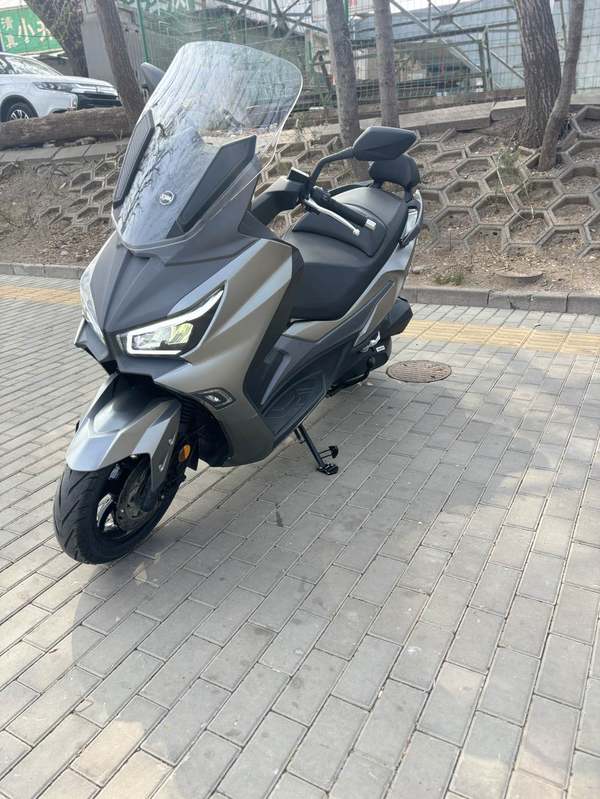 二手三阳Joymax Z 300