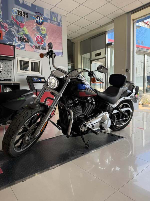 二手哈雷戴维森路威 Low Rider