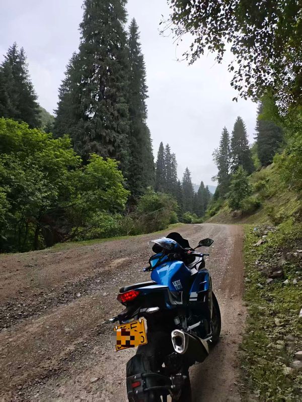 二手宝雕BD200-25B