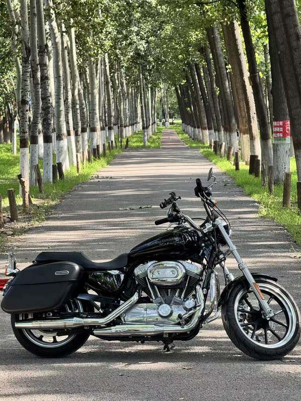 二手哈雷戴维森883L SuperLow