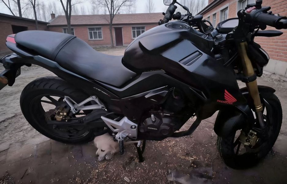 二手新大洲本田CBF190R