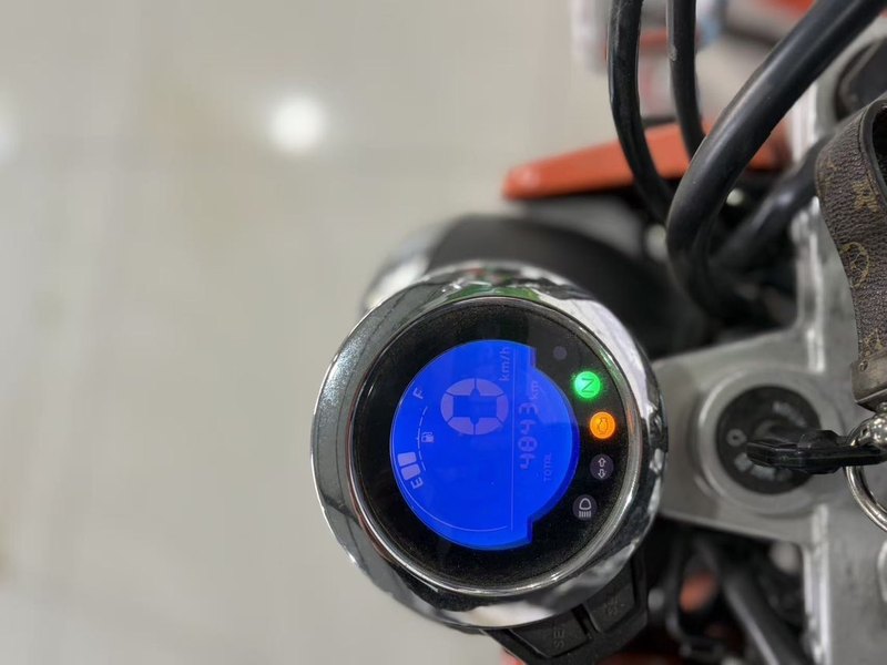 二手斯托纳猿猴