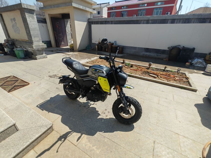 二手春风XO狒狒