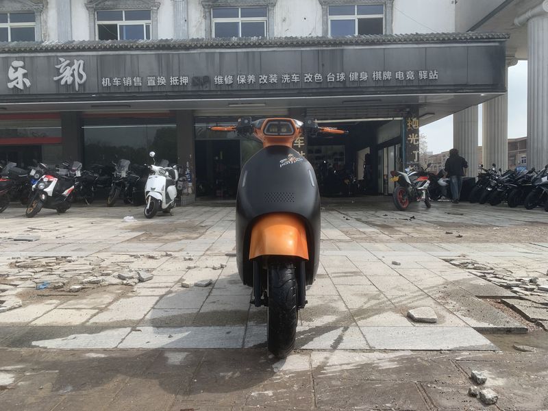 二手阿雷纳鸭嘴兽 Platypus