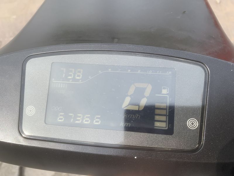 二手阿雷纳鸭嘴兽 Platypus