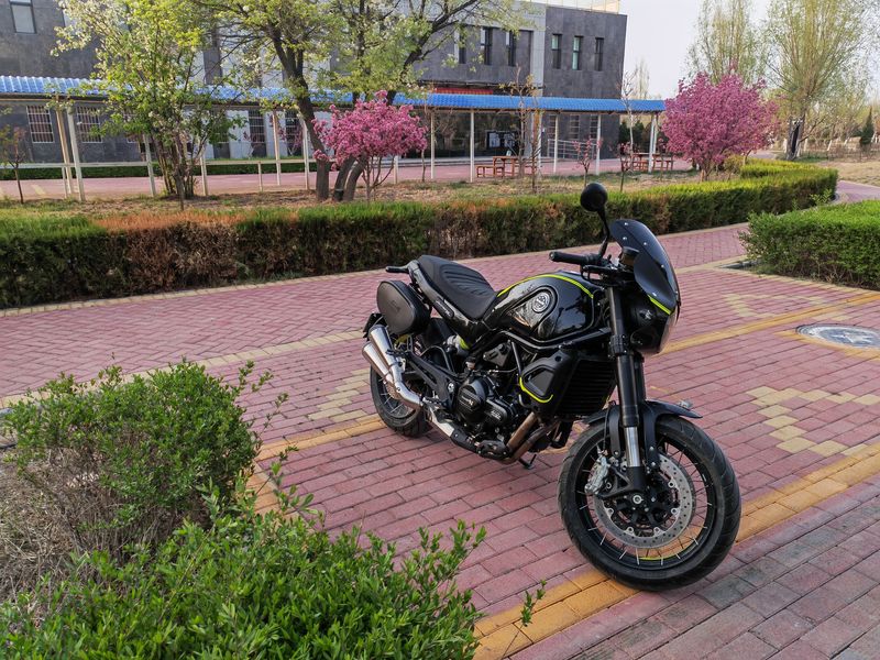 二手贝纳利幼狮 Leoncino 500