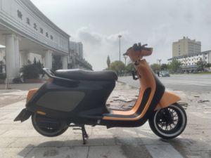 二手阿雷纳鸭嘴兽 Platypus