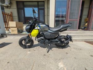 二手春风XO狒狒