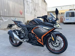 二手无极300RR
