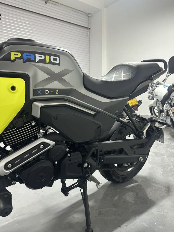 二手春风XO狒狒