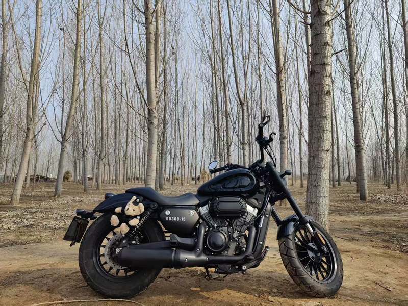 二手奔达金吉拉300