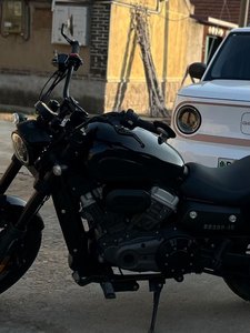 二手奔达金吉拉300