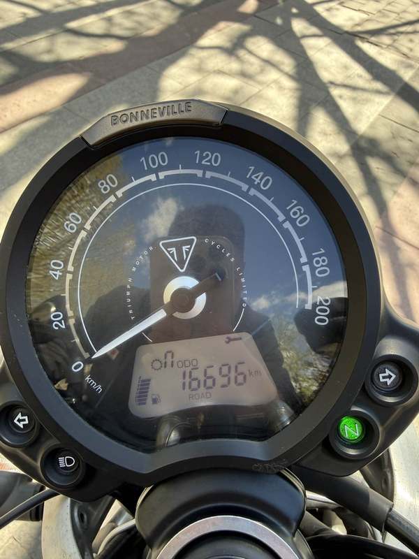 二手凯旋Speed Twin 900