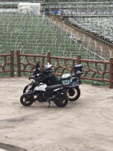 二手春风ST狒狒